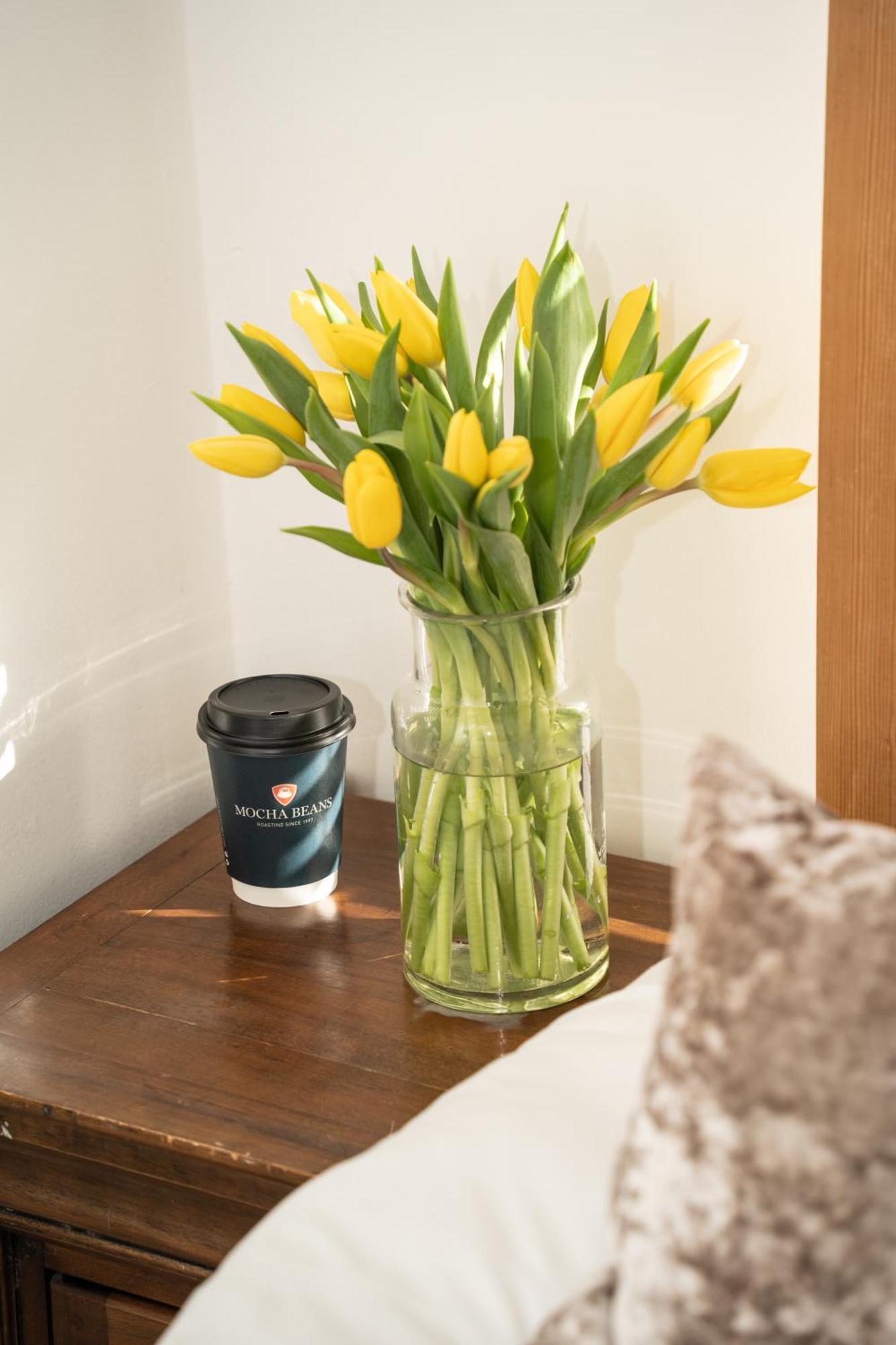 Bed and Breakfast Mocha Newcastle Galway Exterior foto